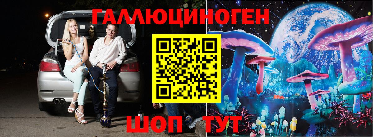 Псилоцибиновые грибы GOLDEN TEACHER  Вход с VPN  где купить   Карабулак 